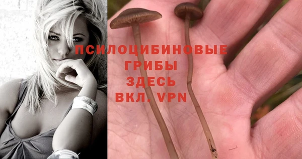 ПСИЛОЦИБИНОВЫЕ ГРИБЫ Абинск