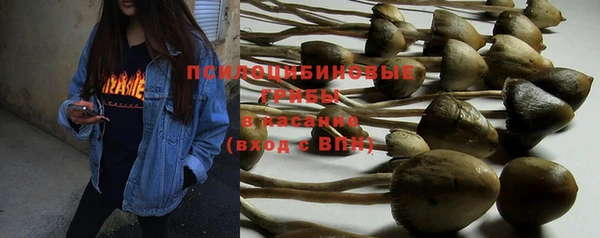 МДПВ Абаза