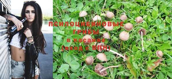 ПСИЛОЦИБИНОВЫЕ ГРИБЫ Абинск