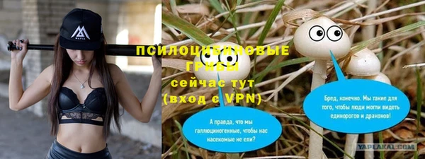 ПСИЛОЦИБИНОВЫЕ ГРИБЫ Абинск